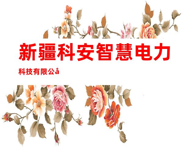新疆科安智慧电力科技有限公司